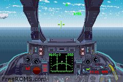 F-14 Tomcat Screen Shot 2